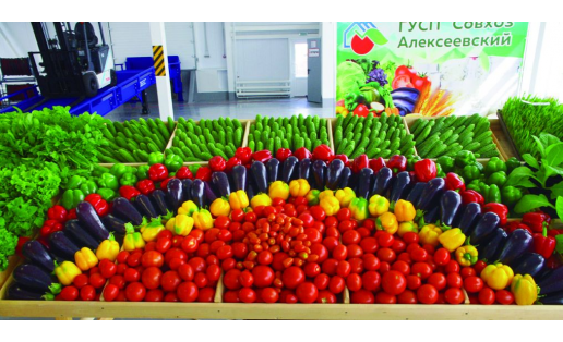 Продукция совхоза “Алексеевский” Products of the Alekseyevsky state collective farm 1