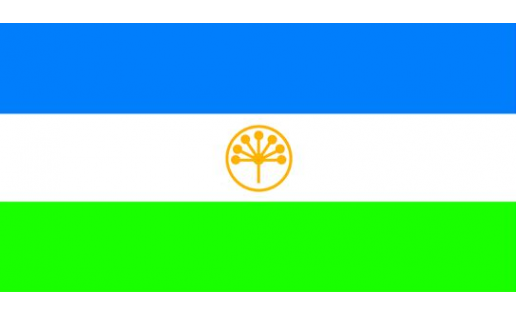 Флаг РБ 1992 The Flag of the RB 1992