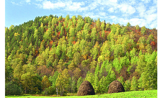 Зоологический заказник “Ишимбайский” Ishimbaysky zoological wildlife reserve