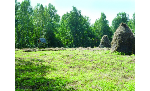 Заказник “Белокатайский”. The Belokataysky zoological wildlife reserve. 1