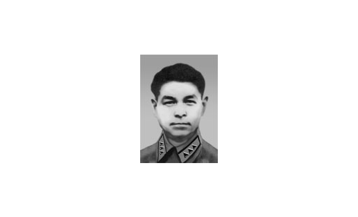 Н.Д.Сафин