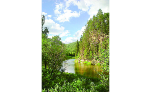 Территория Белорецкого лесхоза. 2016 The territory of Beloretsky forestry enterprise. 2016