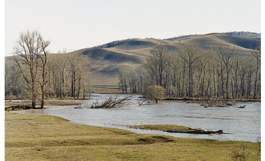 Зоологический заказник “Икский” Iksky zoological wildlife reserve