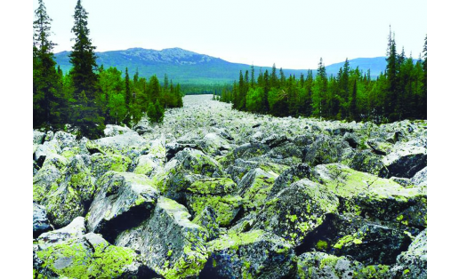 Каменная река (курумник). Белорецкий р-н Stone run. Beloretsky Raion