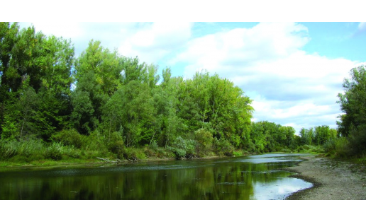 Река Буй The Bui River