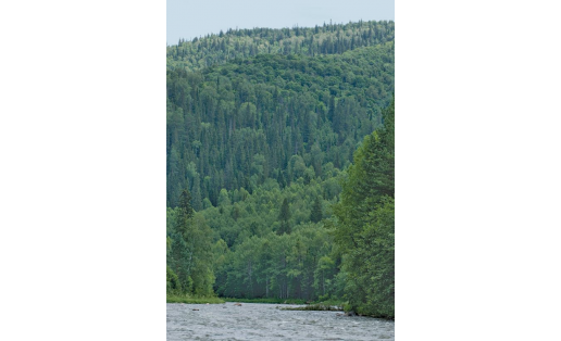 Хребет Чёрный