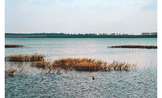 Мулдаҡкүл