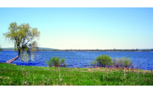 Зоологический заказник “Белоозёрский”; The Beloozyorsky zoological wildlife reserve