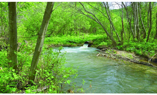 Источник Берхомут The Berkhomut Spring