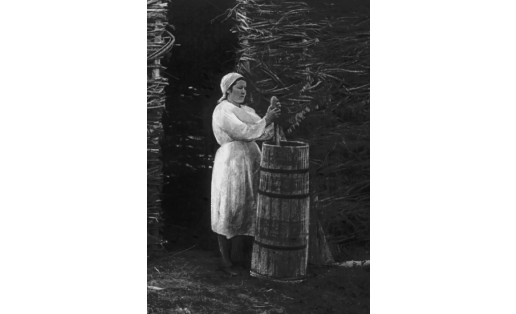 Ҡымыҙ бешеү. Баймаҡ р‑ны, 1958