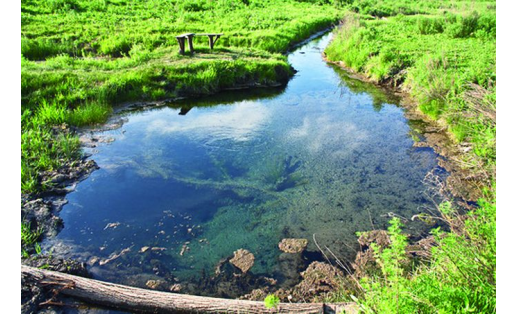 Бирские минеральные источники The Birsk Mineral Springs 1
