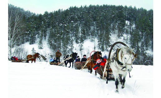 Конно-санный тур по хребту Крака. Белорецкий район Horse-toboggan tour on the Kraka ridge. Beloretsky Raion