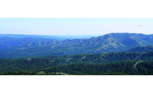 Заповедник “Башкирский” The Bashkirsky reserve 3