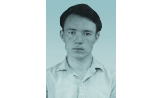 В. М. Гареев