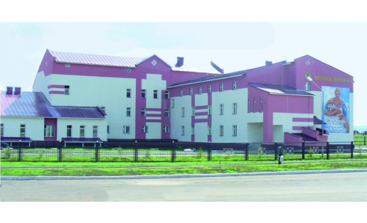 Альшеевская районная поликлиника The Alsheyevsky Raion Clinic