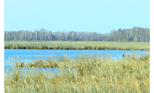 Зоологический заказник “Шингак‑Куль” The Shingak‑kul zoological wildlife reserve