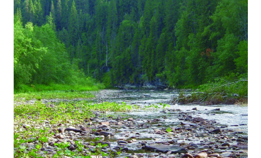 Заповедник “Южно-Уральский” (2) The South Ural reserve