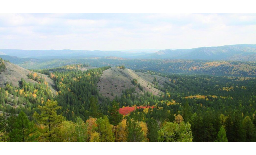 Заповедник “Башкирский” The Bashkirsky reserve 2