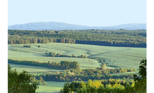 Зоологический заказник “Наказбашевский” Nakazbashevsky zoological wildlife reserve