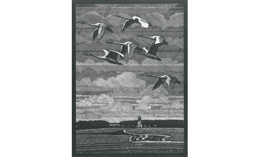 М.Ф.Ахунов. Тыуған яҡтарға. Линогравюра. 1964