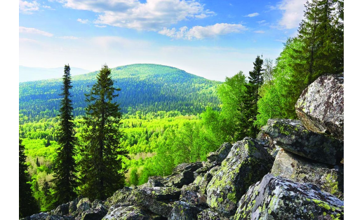 Заповедник “Южно-Уральский” (1). The South Ural reserve