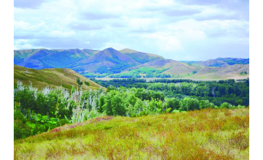 Зоологический заказник “Шайтантау” The Shaitantau zoological wildlife reserve