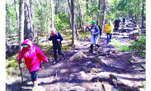 Восхождение на г.Иремель Climbing the Iremel Mountain