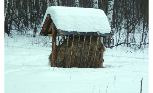 Заказник “Белокатайский”. The Belokataysky zoological wildlife reserve. 2