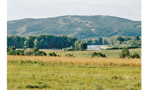 Заказник “Кунгак”. Предгорье хр.Кунгак