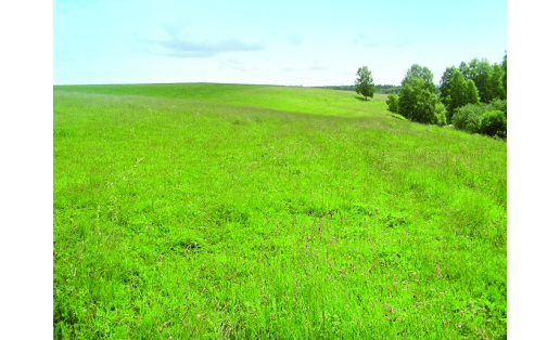 Суходольные луга Dry valley meadows