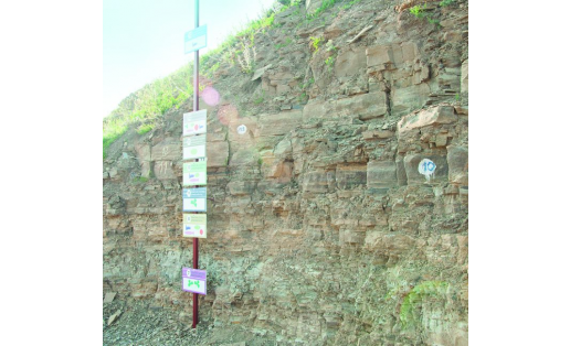 Разрез Мечетлино The Mechetlino quarry