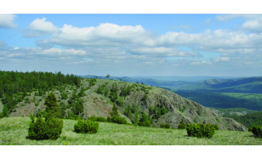 Заповедник “Башкирский” The Bashkirsky reserve 1