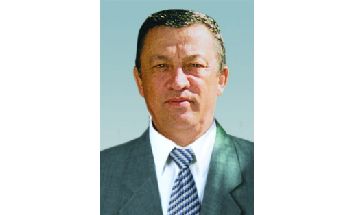 В. Н. Газеев