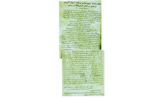 Копия жалованной грамоты Ивана Грозного башкирам 4 племён A copy of Zhalovannaya Gramota (Charter) by Ivan the Terrible to four Bashkir tribes