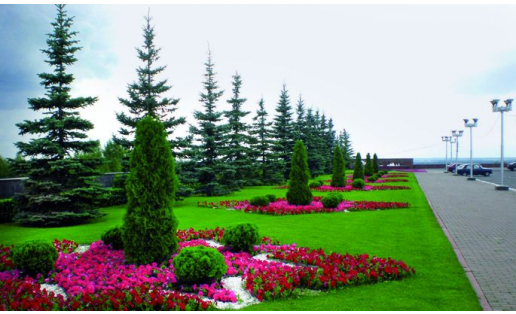 МУП “Горзеленхоз”. Озеленение улиц Уфы MUP Gorzelenkhoz. Greening the streets of Ufa 1