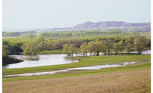 Река Дёма. Альшеевский район