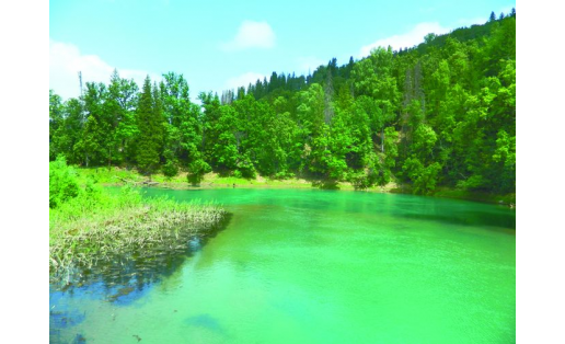 Источник Красный Ключ The Krasny Klyuch spring